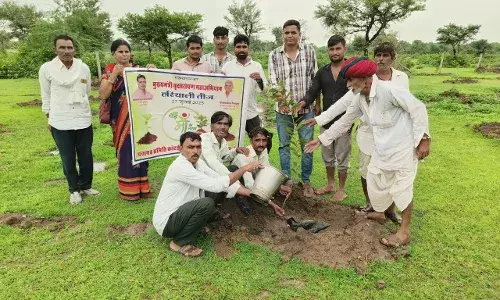 जीवा का खेड़ा में 1000 पौधे लगाए जीवा का खेड़ा में 1000 पौधे लगाए