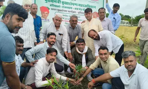 वृक्षारोपण कार्यक्रम आयोजित