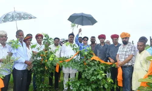 एक पेड़ माँ के नाम अभियान के तहत बाका मे 5000 पौधे लगाए एक पेड़ माँ के नाम अभियान के तहत बाका मे 5000 पौधे लगाए