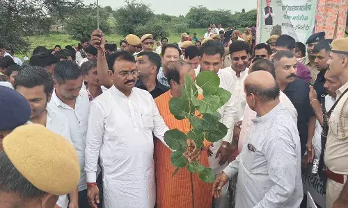 हरियाली तीज के अवसर पर जिले में हुआ 11 लाख पौधों का रोपण, अभियान के तहत लगाए जाएंगे कुल 32 लाख पौधे हरियाली तीज के अवसर पर जिले में हुआ 11 लाख पौधों का रोपण, अभियान के तहत लगाए जाएंगे कुल 32 लाख पौधे