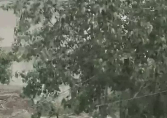 भीलवाड़ा में रविवार सुबह से  झमाझम बारिश, अब पांच दिन बरसेंगे बदरा