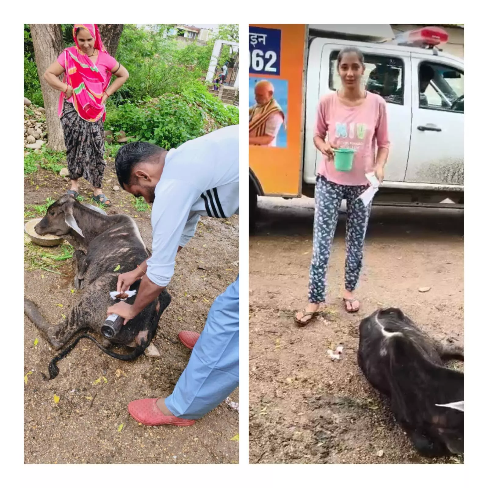 तेजाजी मंदिर खटवाड़ा: घायल बछड़े की सेवा में जुटीं महिलाएं तेजाजी मंदिर खटवाड़ा: घायल बछड़े की सेवा में जुटीं महिलाएं