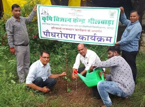 हरियालो राजस्थान के तहत् केवीके पर हुआ पौधारोपण हरियालो राजस्थान के तहत् केवीके पर हुआ पौधारोपण