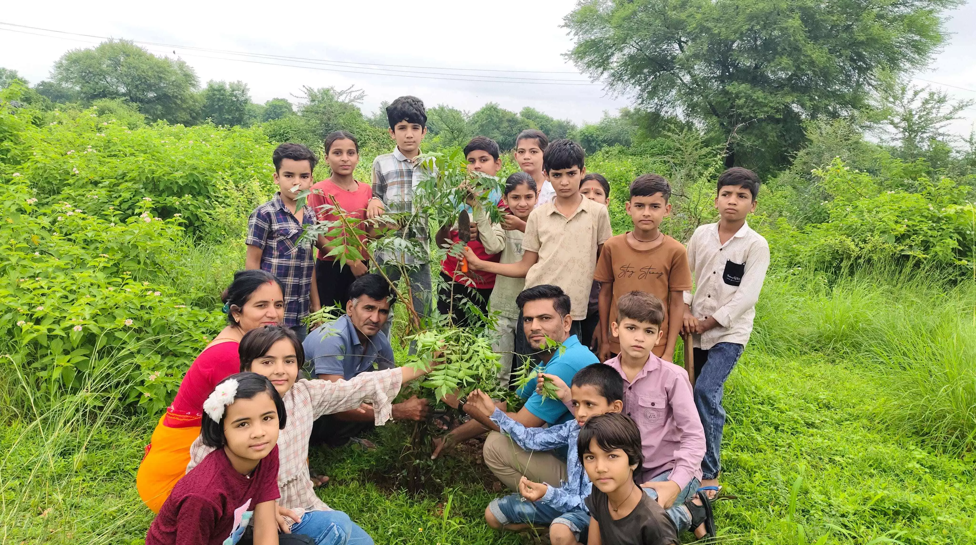 हरियाली तीज पर विद्यालयों में किया पौधारोपण हरियाली तीज पर विद्यालयों में किया पौधारोपण