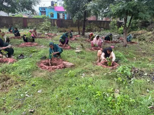 हरियालो राजस्थान अभियान के अंतर्गत चित्तौड़गढ़ जिले में 6 लाख पौधों का सफलतापूर्वक रोपण