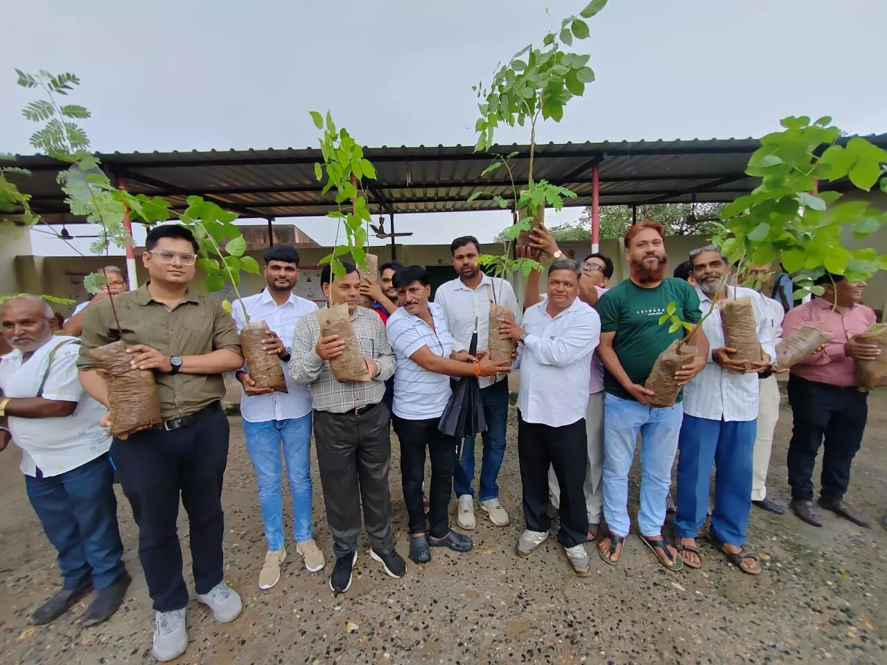 विद्यालय व मंदिर परिसर में 600 पौधे रोपे विद्यालय व मंदिर परिसर में 600 पौधे रोपे