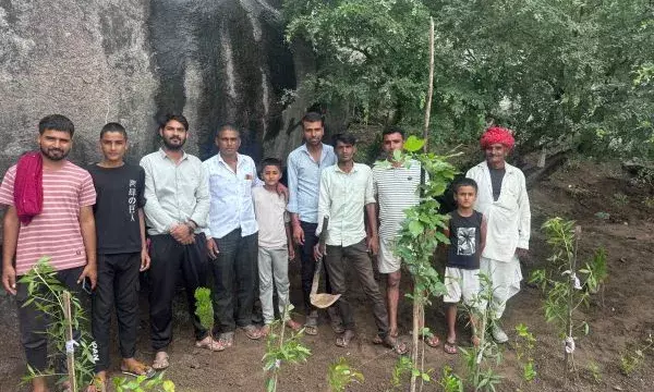 आसींद में 151 पौधे लगाएं आसींद में 151 पौधे लगाएं