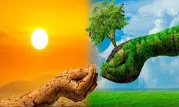 धरती और आपकी हेल्थ दोनों बचाएंगी वो 7 आदतें