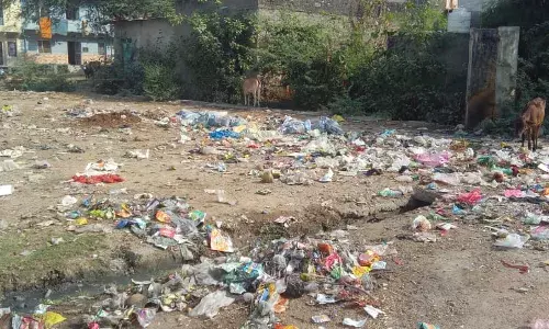 15 वर्षों से कचरा पात्र की व्यवस्था नहीं, आवारा पशुओं की मौत पर उठे सवाल – प्रशासन मौन 15 वर्षों से कचरा पात्र की व्यवस्था नहीं, आवारा पशुओं की मौत पर उठे सवाल – प्रशासन मौन