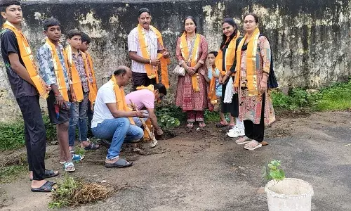 विद्यालय मे लगाए 50 पौधे