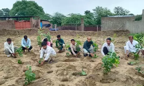 बागोर में हरियाली तीज पर 1000 पौधे लगाएं