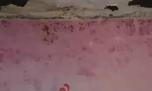 गेगा का खेड़ा विद्यालय की छत से टपक रहा पानी,  नायब तहसीलदार और पटवारी ने किया निरीक्षण