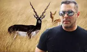 सलमान खान की काला हिरण शिकार मामले में सुनवाई 22 सितंबर को