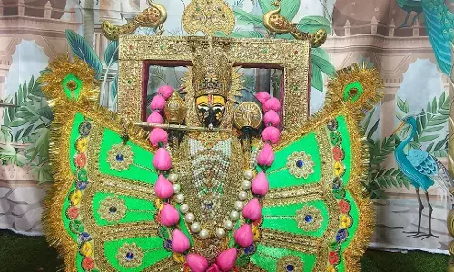 सांवलिया सेठ की हरे रंग की अनुपम छटा श्रद्धालुओं के मन भाई, झूला दर्शन जारी