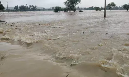 तेज बारिश से नदी नाले उफान पर ,पुलिया टूटने से कई गावो का कटा संपर्क