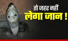 भीलवाड़ा: बारिश में बढ़े सर्पदंश के मामले, एक छात्र की मौत – डॉक्टरों ने दी सावधानी बरतने की सलाह
