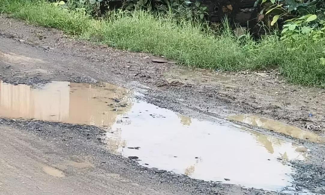 गड्ढों में तब्दील हुई सड़क, वाहन चालक परेशान