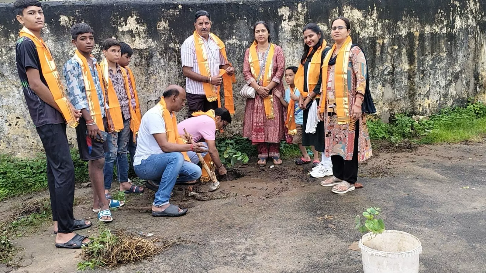 विद्यालय मे लगाए 50 पौधे विद्यालय मे लगाए 50 पौधे