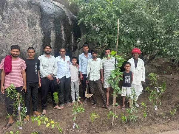 आसींद में 151 पौधे लगाएं आसींद में 151 पौधे लगाएं