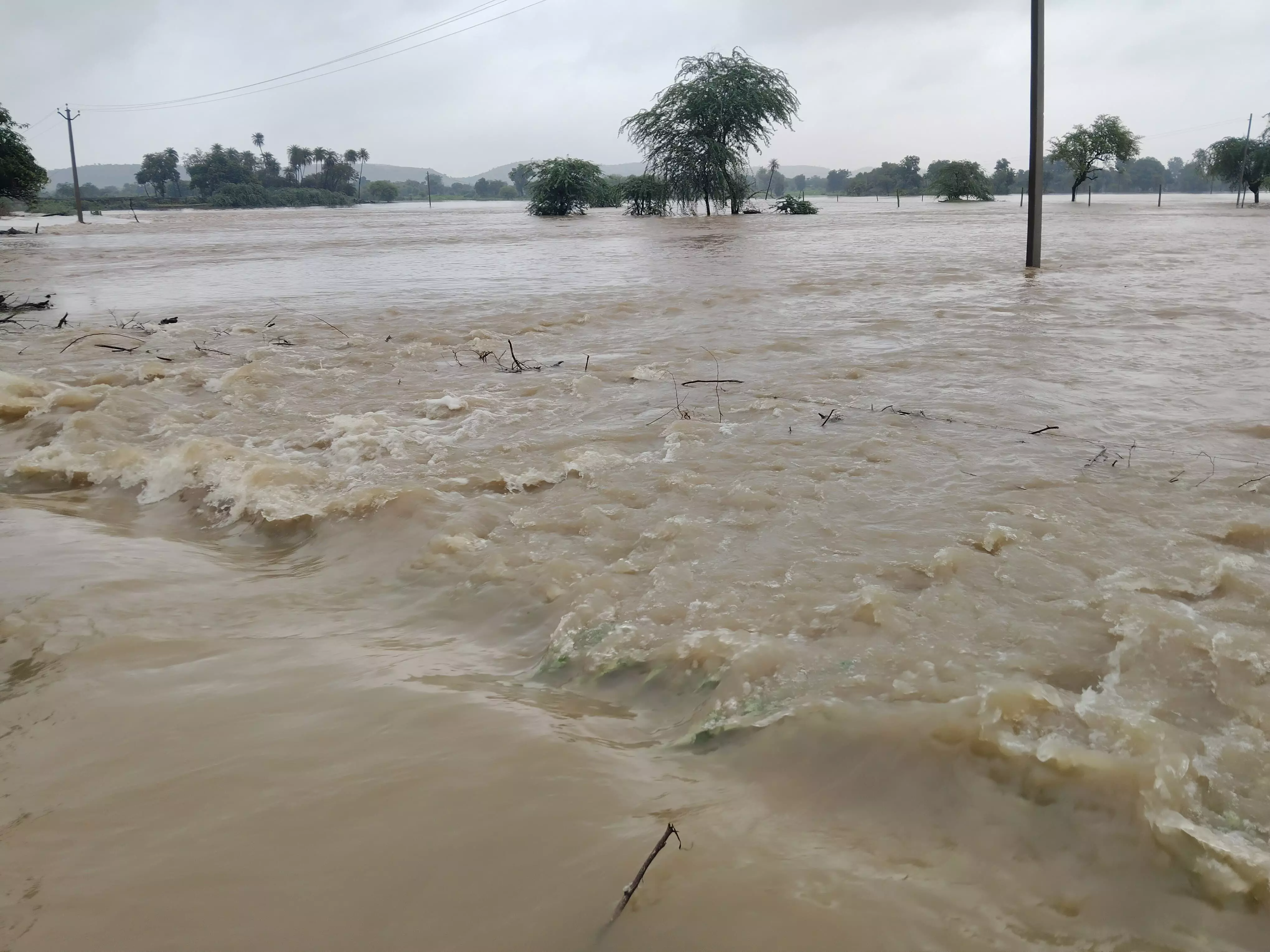 तेज बारिश से नदी नाले उफान पर ,पुलिया टूटने से कई गावो का कटा संपर्क तेज बारिश से नदी नाले उफान पर ,पुलिया टूटने से कई गावो का कटा संपर्क