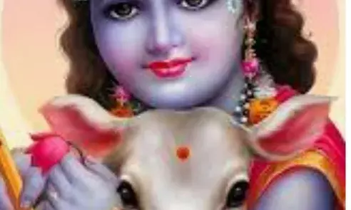 जन्माष्टमी पर संकटमोचन हनुमान मंदिर पर सजेगी झांकिया