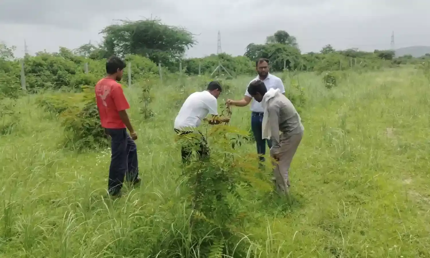 गर्मी की तपिश हो या सांस लेने को स्वच्छ हवा,अब जहाजपुर का मिज़ाज बदलेगा। गर्मी की तपिश हो या सांस लेने को स्वच्छ हवा,अब जहाजपुर का मिज़ाज बदलेगा।