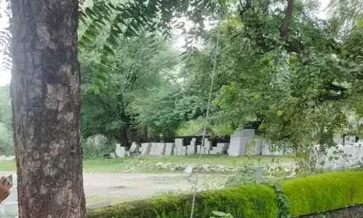 राजसमंद में करंट लगने से भैंस की मौत, ग्रामीणों का फूटा गुस्सा, लगाया जाम