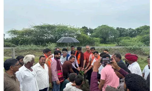 2500 पौधे लगाए