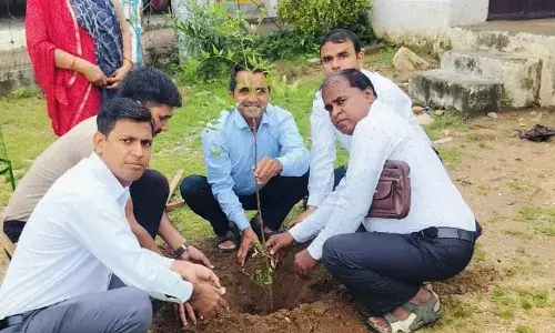 कालिरड़िया विद्यालय में हरियालो राजस्थान के तहत किया पौधारोपण