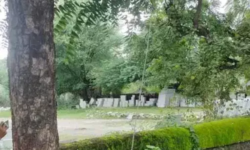 राजसमंद में करंट लगने से भैंस की मौत, ग्रामीणों का फूटा गुस्सा, लगाया जाम