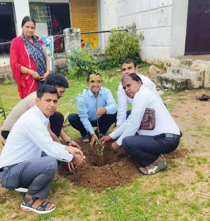 कालिरड़िया विद्यालय में हरियालो राजस्थान के तहत किया पौधारोपण