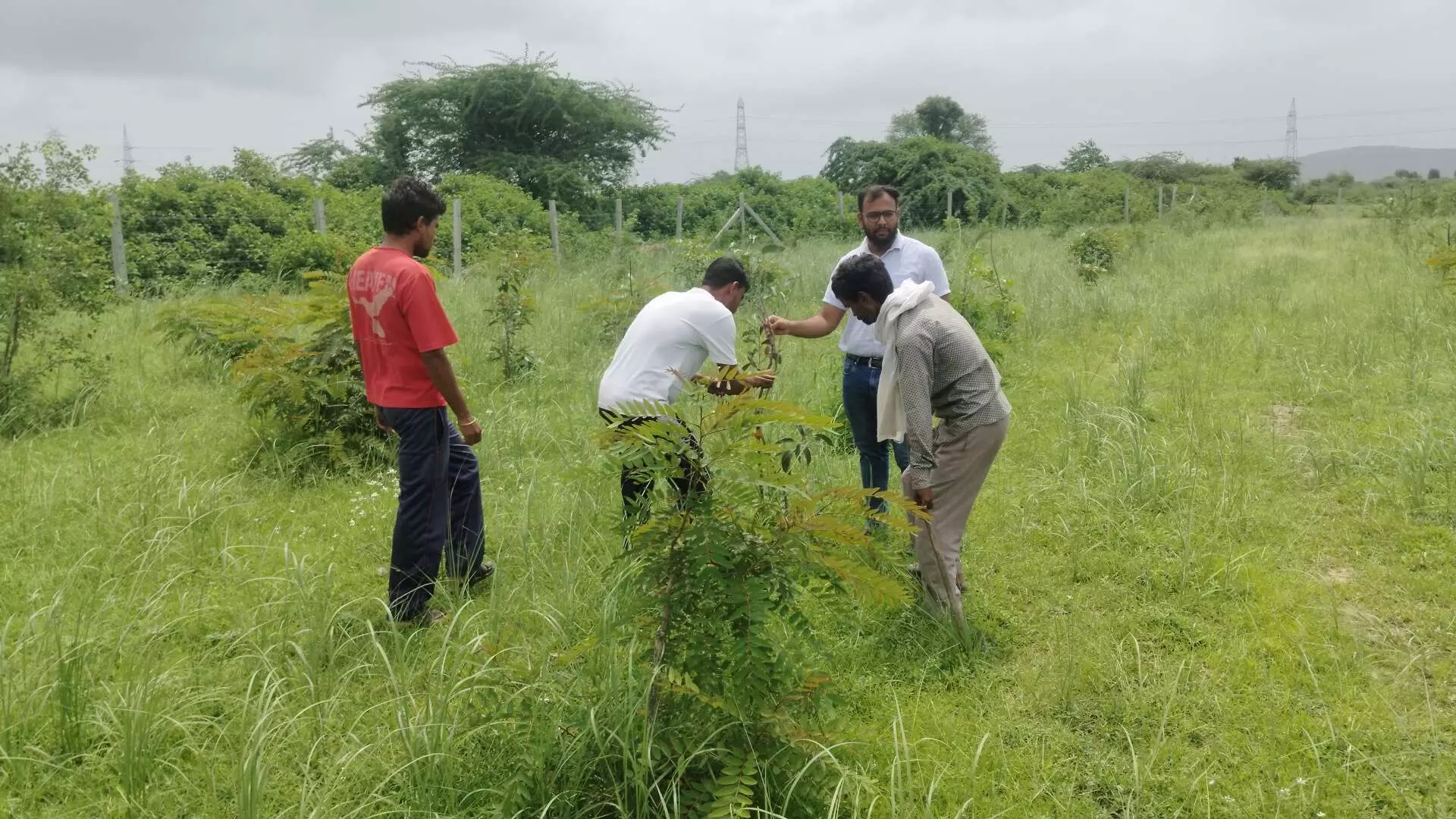 गर्मी की तपिश हो या सांस लेने को स्वच्छ हवा,अब जहाजपुर का मिज़ाज बदलेगा। गर्मी की तपिश हो या सांस लेने को स्वच्छ हवा,अब जहाजपुर का मिज़ाज बदलेगा।