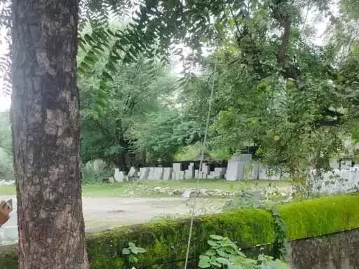 राजसमंद में करंट लगने से भैंस की मौत, ग्रामीणों का फूटा गुस्सा, लगाया जाम