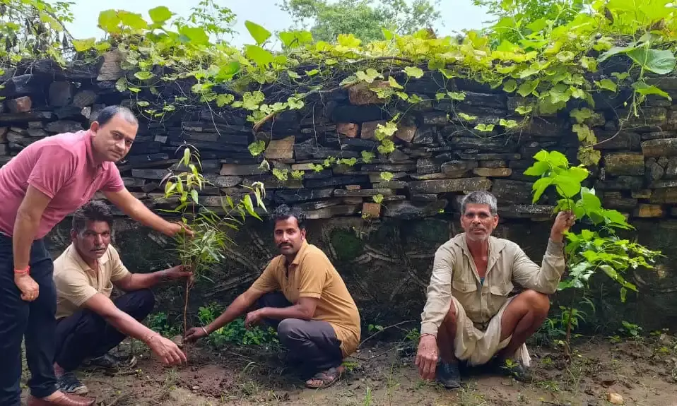 औषधालय में पौधरोपण