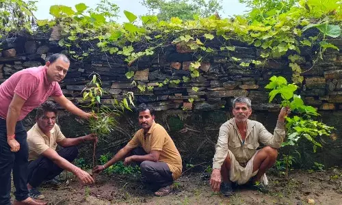 औषधालय में पौधरोपण