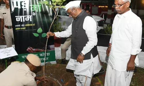 एक पेड़ माँ के नाम अभियान के तहत किया पौधारोपण