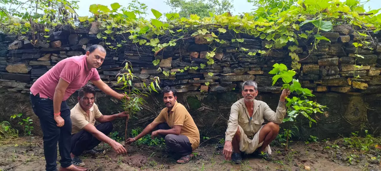 औषधालय में पौधरोपण औषधालय में पौधरोपण