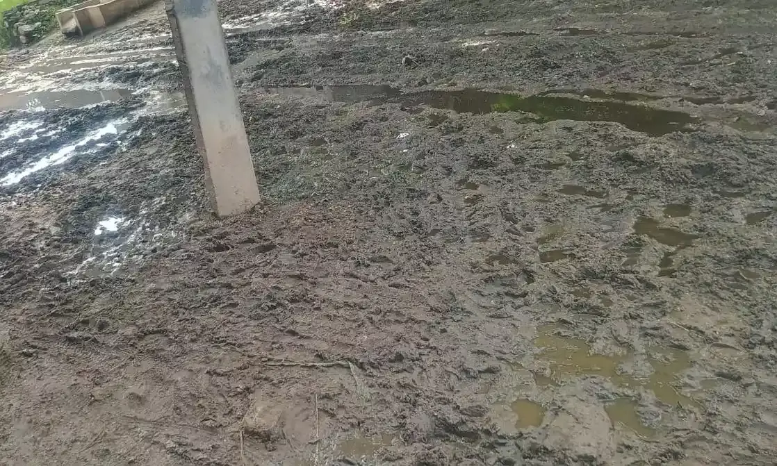 बावलास गांव में कीचड़,जलभराव और गड्डों से भरी सड़क, ग्रामीणों का आवागमन हुआ मुश्किल