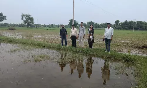 जल भराव वाले खेतो का निरक्षण कर किसानों को दिया उचित मार्गदर्शन जल भराव वाले खेतो का निरक्षण कर किसानों को दिया उचित मार्गदर्शन