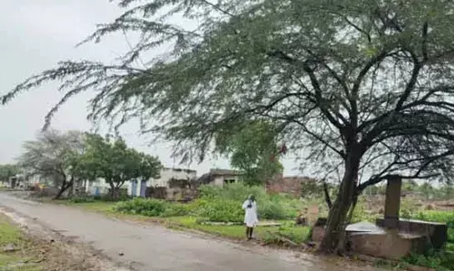 बिजौलिया में दर्दनाक हादसा: हाईटेंशन लाइन से पेड़ में उतरा करंट, युवक की मौत