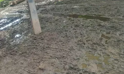 बावलास गांव में कीचड़,जलभराव और गड्डों से भरी सड़क, ग्रामीणों का आवागमन हुआ मुश्किल