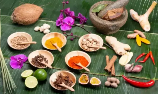 खाने की थाली तक घर- घर  पहुंचेगा आयुर्वेद आहार,मिली मंजूरी; आयुर्वेदिक खाद्य पदार्थों की सूची  भी जारी