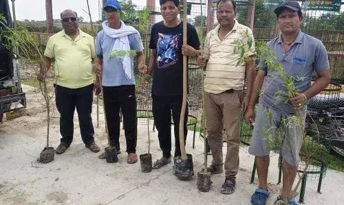 एक पेड़ मां के नाम अभियान के तहत किया  पौधरोपण