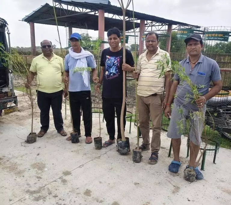 एक पेड़ मां के नाम अभियान के तहत किया पौधरोपण एक पेड़ मां के नाम अभियान के तहत किया पौधरोपण