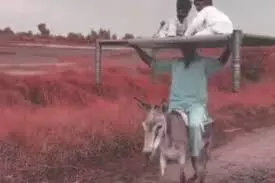 सिर पर चारपाई रख शख्स ने की गधे की सवारी सिर पर चारपाई रख शख्स ने की गधे की सवारी