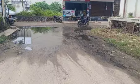 जन समस्याओं से घिरा चितौड़गढ़ शहर, निर्वाचित जनप्रतिनिधि नहीं ले रहे सुध: जाड़ावत