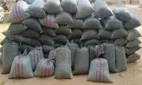 नागौर: खेत में छिपा रखा था 1441 किलो डोडा-पोस्त, 2.16 करोड़ की ड्रग्स जब्त