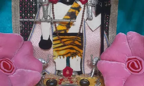 कालिया नाथ को शिवशंकर श्रृंगार किया कालिया नाथ को शिवशंकर श्रृंगार किया