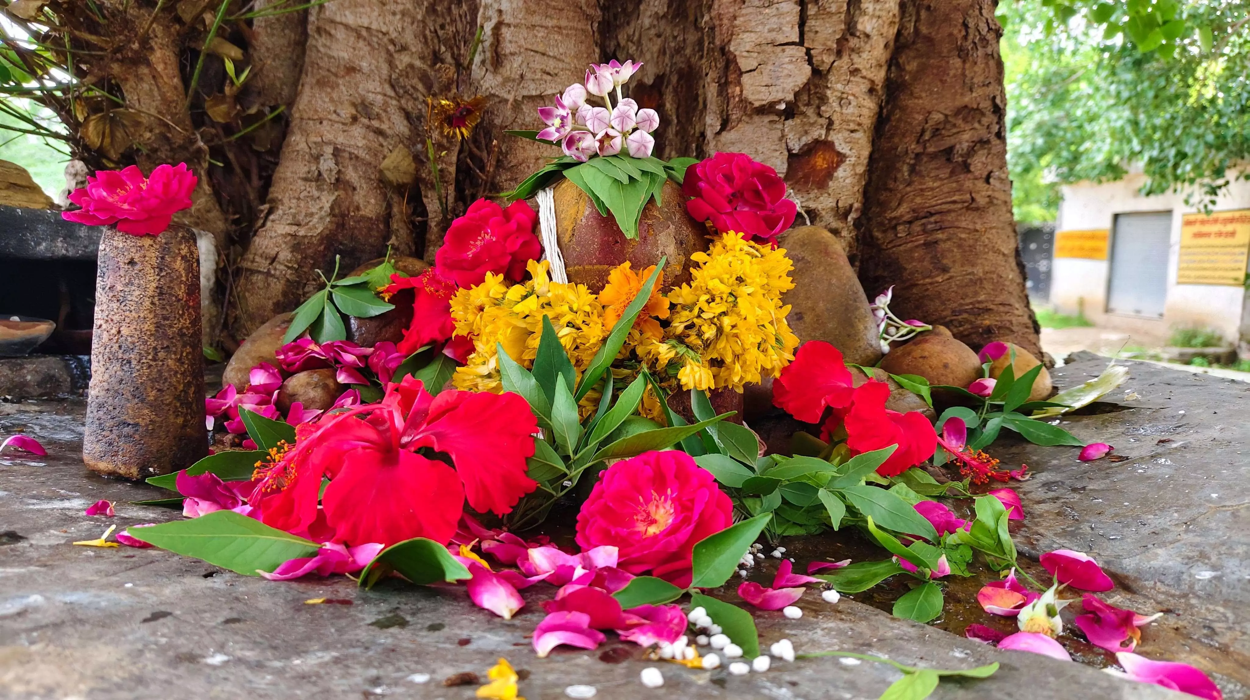 सावन के अंतिम सोमवार को शिवालयों में लगा शिव भक्तों का तांता