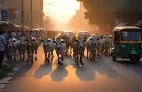 भजनलाल सरकार की गांव-ग्वाल योजना: परंपरा की वापसी या एक भावुक प्रयोग? पर एक बड़ा सवाल ये भी